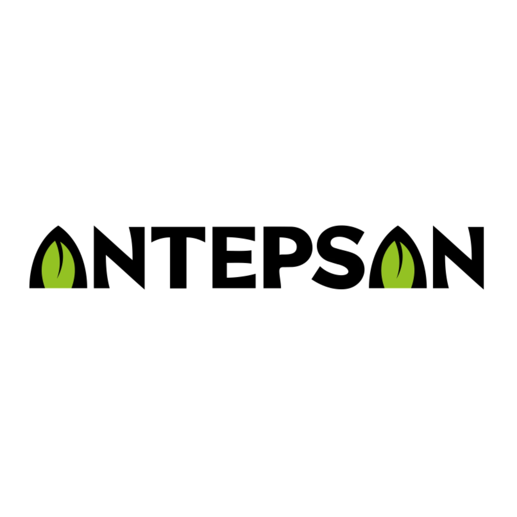 ANTEPSAN KURUYEMİŞ GIDA SAN. VE TİC. A.Ş.