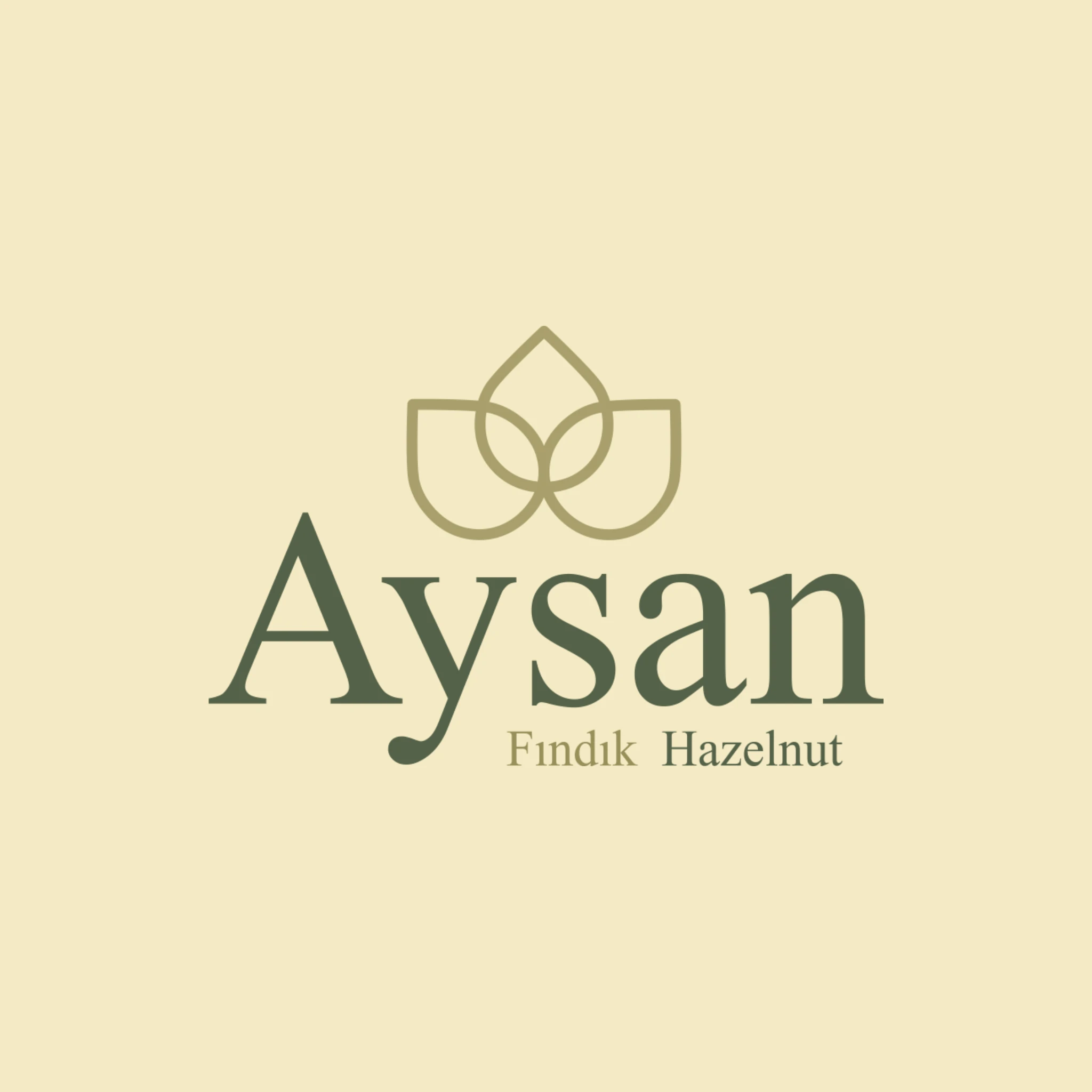 AYSAN FINDIK - AYSAN DIŞ TİC. FINDIK SAN. VE PAZ. LTD. ŞTİ.